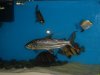DSC00313.JPG