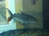 DSC03333.JPG