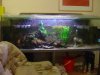 Sealed, Filled, Fish (9).JPG Sealed, Filled, Fish (9).JPG