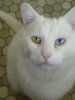 DSC01534.JPG
