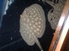 IMG00013-20090103-1659.JPG