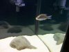 100_0650.jpg