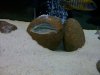 100_0655.jpg