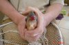DSC04084.JPG