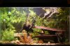 Fishies 018.jpg