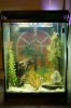 FishTank30tall 004.jpg