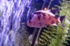 DSCF7124.JPG