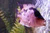 DSCF7129.JPG