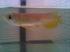 DSC03993.JPG
