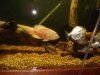 DSC01030.JPG