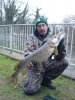 DSC00380.jpg