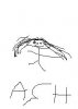 ash avatar.JPG