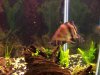 fish Picture 017.jpg