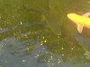 DSC00027.JPG