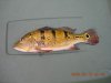 FLPB20060852006.JPG