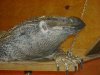 DSC00079.JPG
