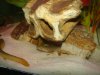 DSC00098.JPG
