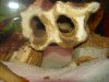 DSC00105.JPG
