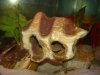 DSC00108.JPG