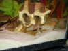 DSC00111.JPG