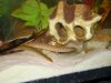 DSC00112.JPG