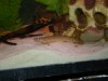 DSC00113.JPG