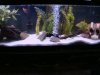 DSC00118.JPG