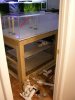 DSCN6337.JPG