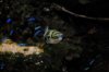 DSC_0321.JPG