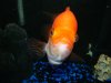 DSC00144.JPG