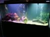DSC00183.JPG