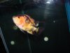 DSC00268.JPG