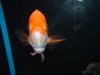 DSC00269.JPG