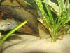 DSC00404.JPG