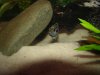 DSC00400.JPG