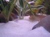 DSC00390.JPG