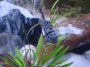 DSC00387.JPG