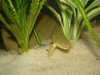 DSC00386.JPG