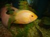 DSC00433.JPG