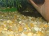 DSC00509.JPG
