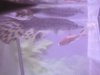 DSC00494.JPG