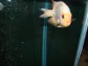 DSC00528.JPG