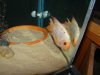 DSC00536.JPG