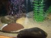 DSC00609.JPG