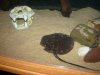 DSC00588.JPG