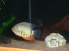 DSC00598.JPG