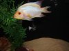 DSC00591.JPG