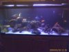 NIGHTIME FULL SHOT OF 120 GALLON.JPG