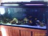 IMAGE_00285.JPG