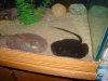 DSC00623.JPG